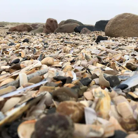 Prázdninový dům 6 Person In