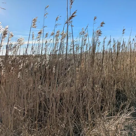 6 Person In 펜션 *